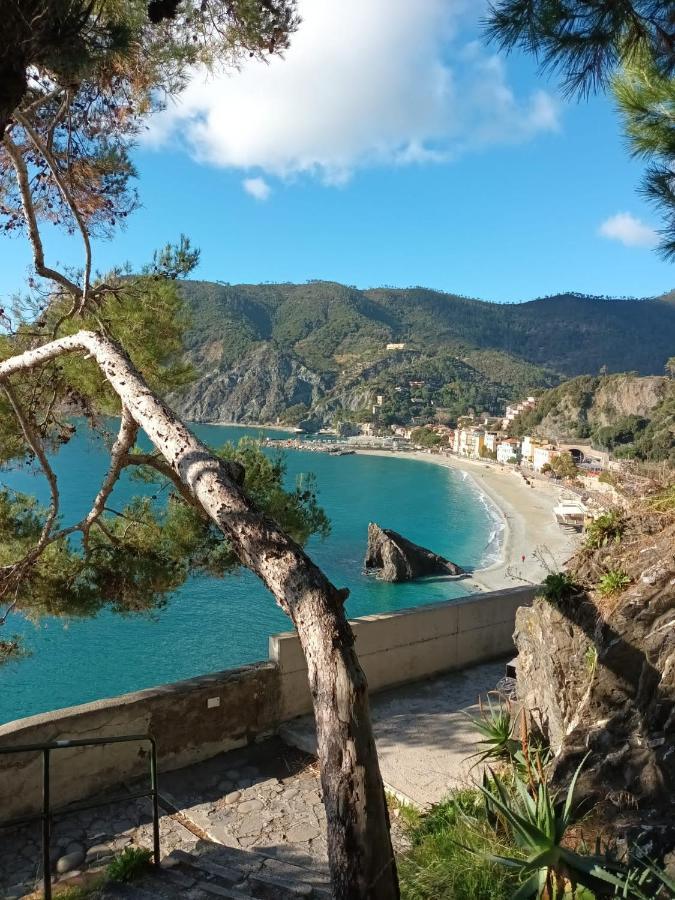 Casa Acciughina Apartment Monterosso al Mare Exterior foto