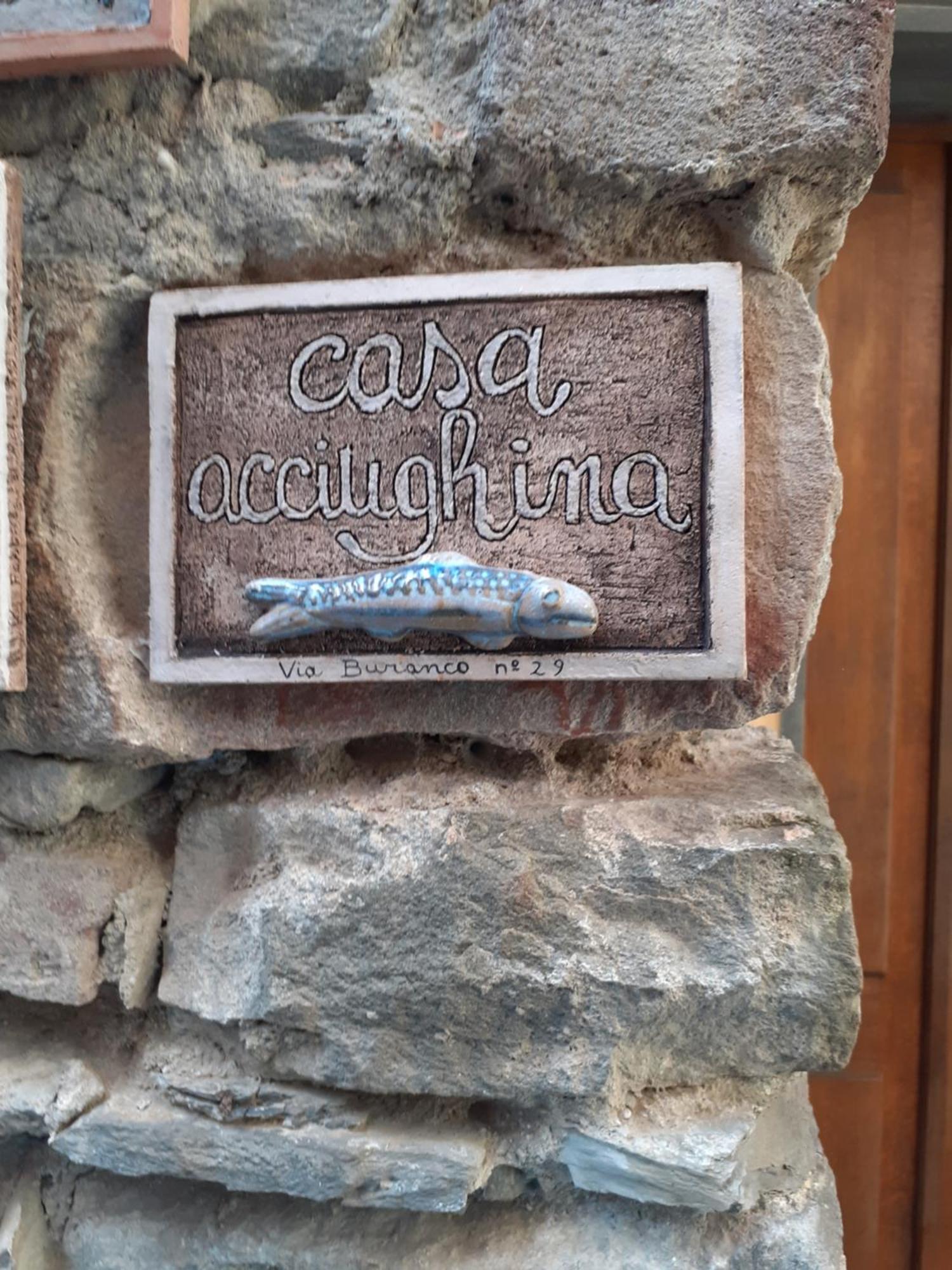 Casa Acciughina Apartment Monterosso al Mare Exterior foto